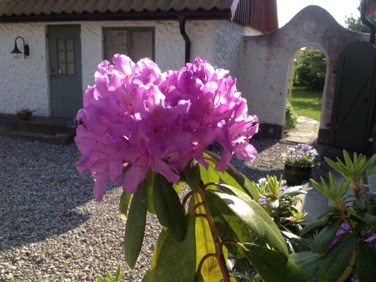 Stallet Pa Skarby Ystad Exterior foto